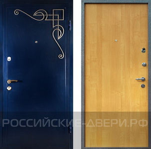 Металлическая дверь в дом ДВДМ-01
