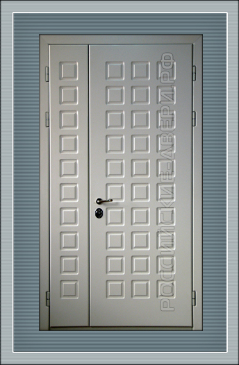 Металлическая дверь в здание ДВЗД-06