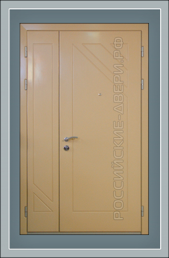 Металлическая дверь в здание ДВЗД-08