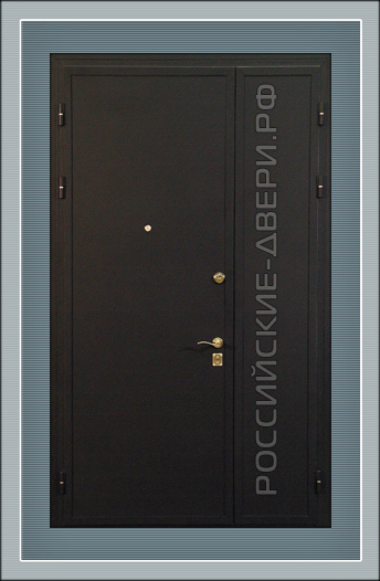 Металлическая дверь в здание ДВЗД-09