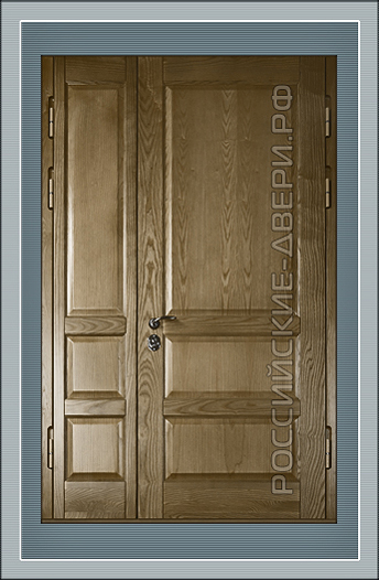 Металлическая дверь в коттедж  ДВКТ-14
